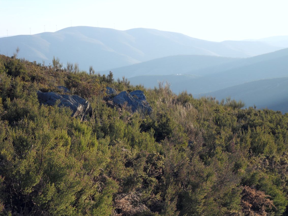 portugiesische Berglandschaft